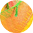 017